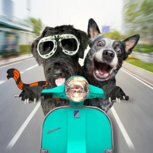 Custom Vespa Pet Portraits