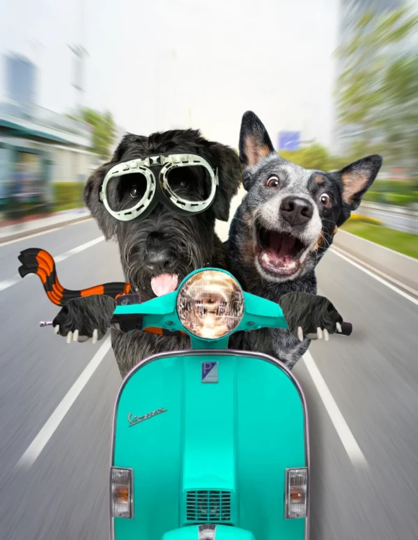 Custom Vespa Pet Portraits