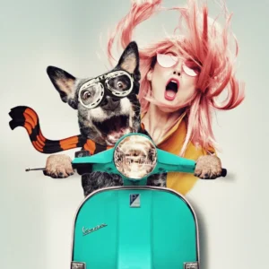 Funny and Cute custom pet portrait in a Vespa