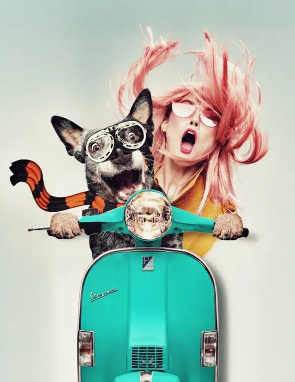 Funny and Cute custom pet portrait in a Vespa