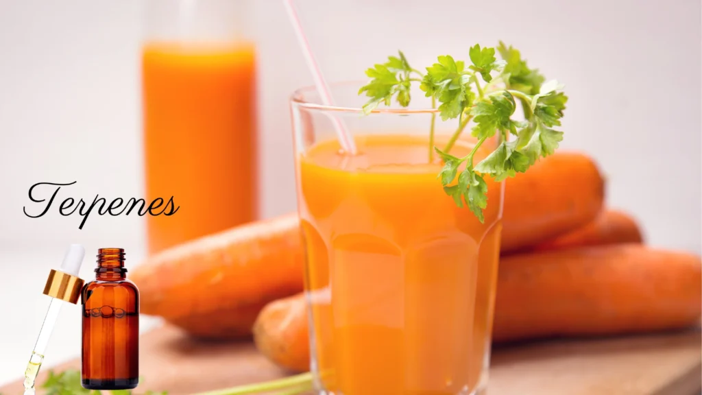 Carrot Juice and Terpenes