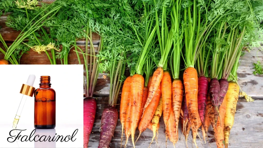 Falcarinol in Carrots: Discovering the Curative Power of the 5x5 Healing Protocol